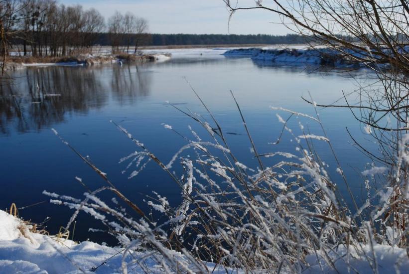 Задонецьке з panoramio.com - Zadonetske