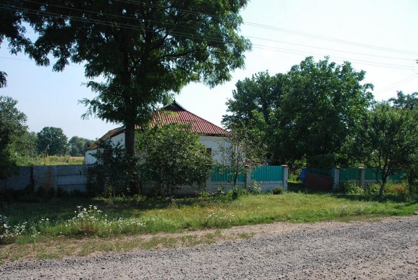 Нова Оржиця з panoramio.com - Новая Оржица