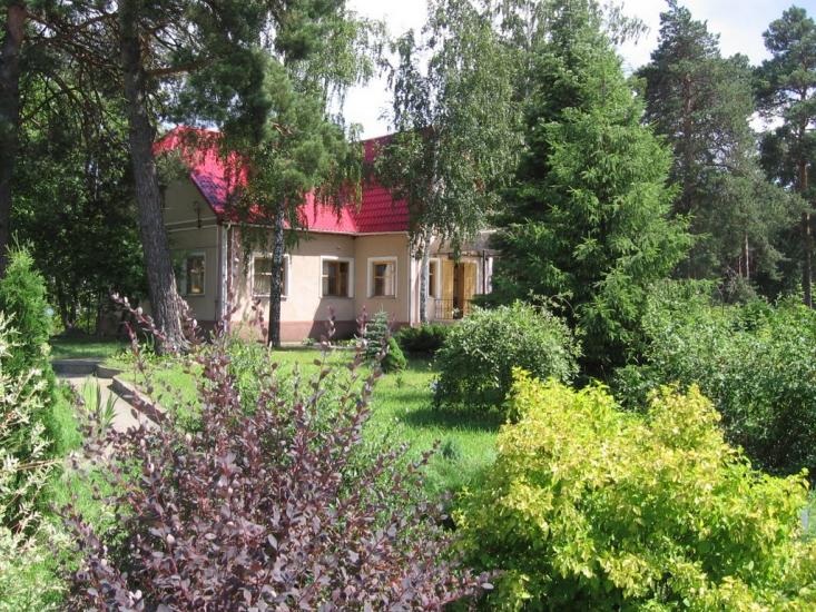 Задонецьке з panoramio.com - Zadonetske