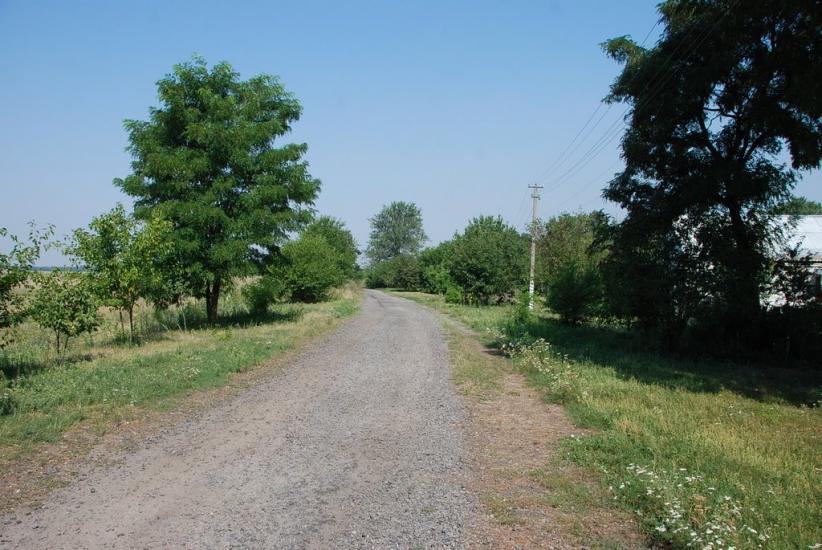 Нова Оржиця з panoramio.com - Новая Оржица
