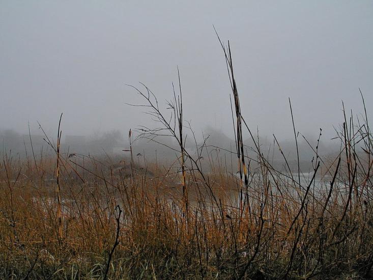 Каютине з panoramio.com - Каютино