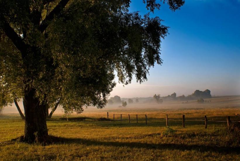 Остапівка з panoramio.com - Остаповка