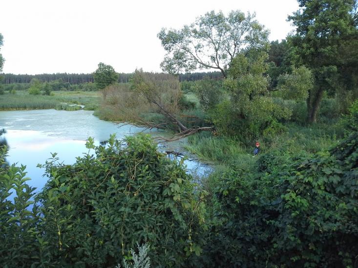 Скригалівка з panoramio.com - Скригалівка