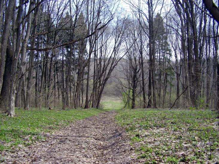 Клин з panoramio.com - Клин