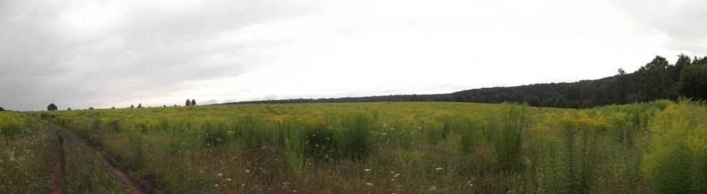 Іволжанське з panoramio.com - Иволжанское