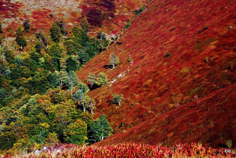 Вовчий з panoramio.com - Волчий