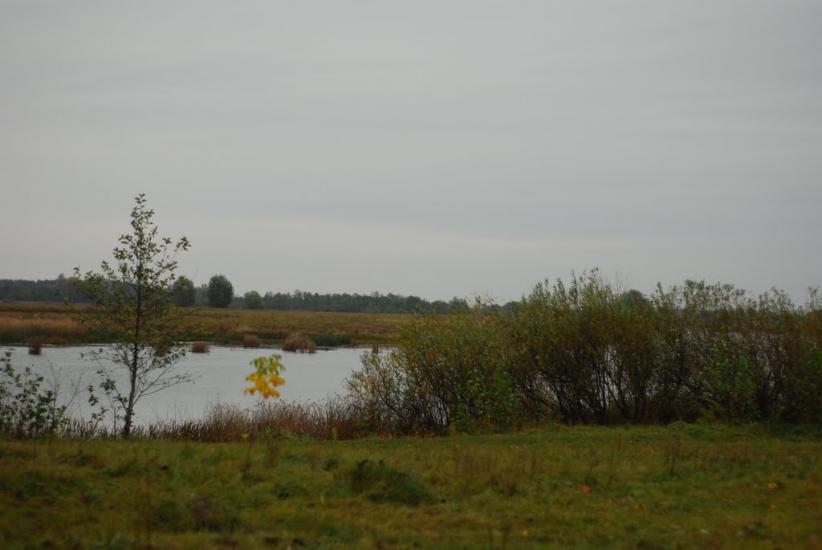 Остапівка з panoramio.com - Остаповка