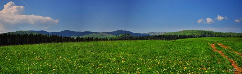 Шандровець з panoramio.com - Шандровец