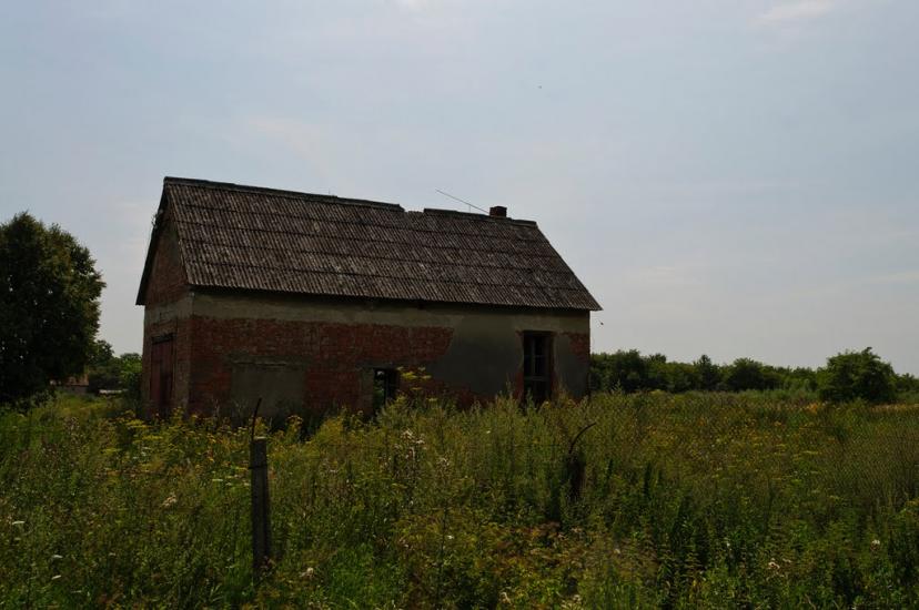 Малі Селменці з panoramio.com - Малые Селлменцы