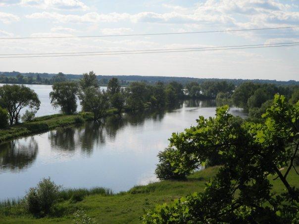 Дрозди з panoramio.com - Дрозди