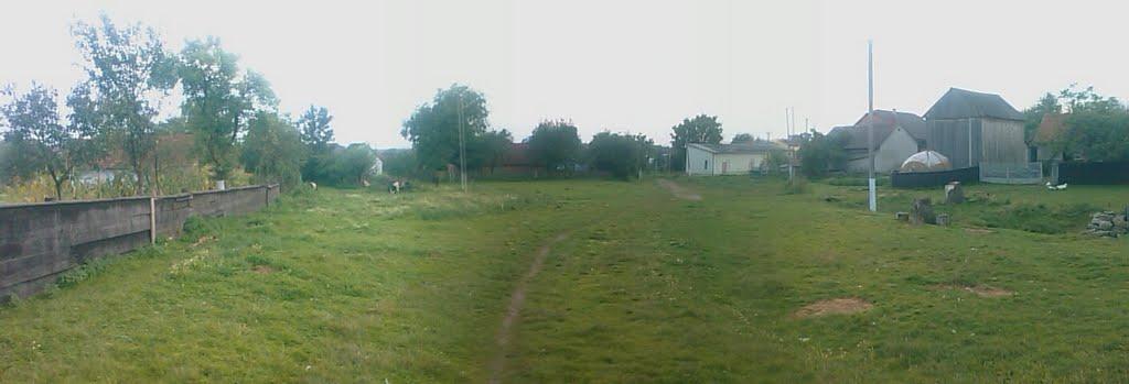 Чайковичі з panoramio.com - Чайковичи