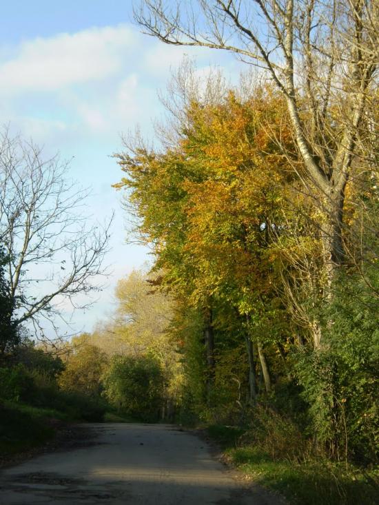 Біла з panoramio.com - Біла