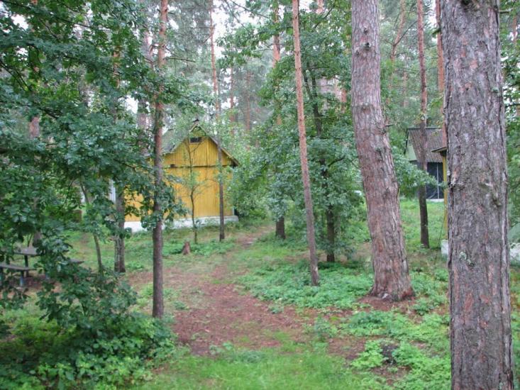 Глібівка з panoramio.com - Глебовка
