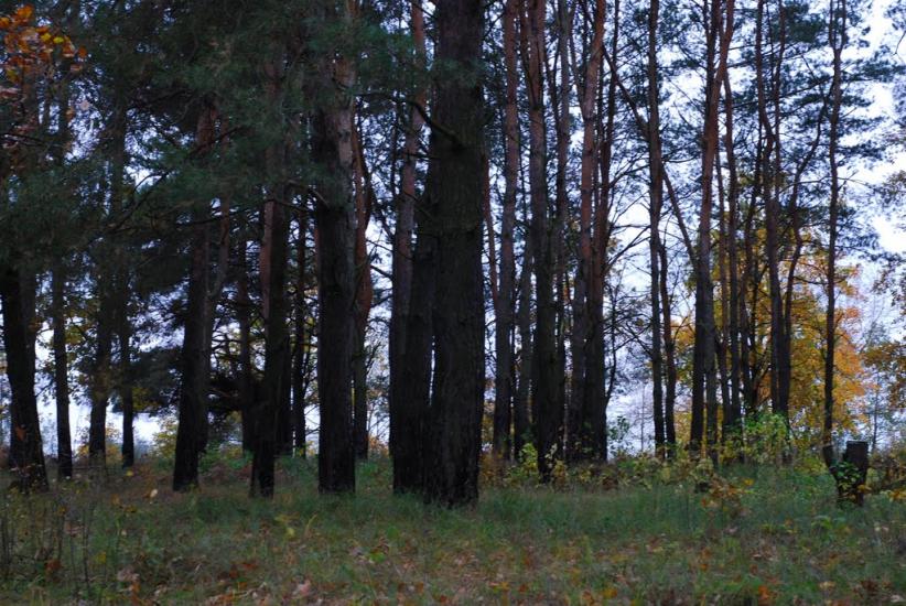 Остапівка з panoramio.com - Остаповка