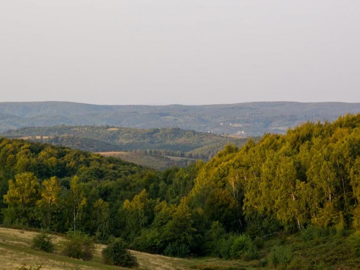 Ільниця з panoramio.com - Ільниця