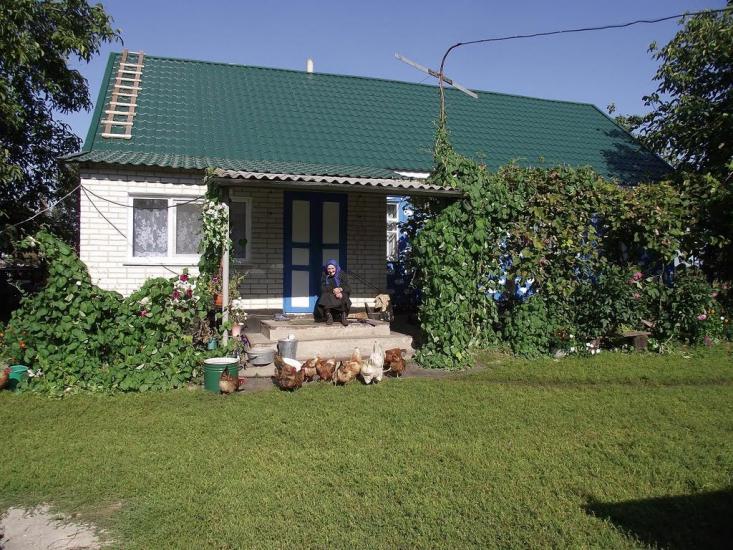 Розаліївка з panoramio.com - Розаліївка
