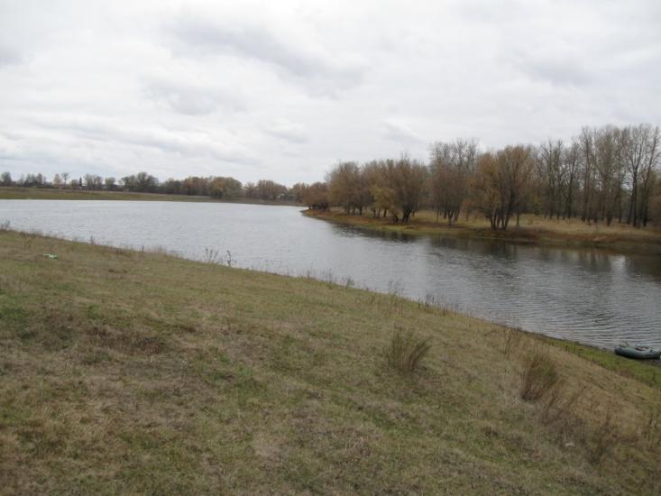 Брусилів з panoramio.com - Брусилов