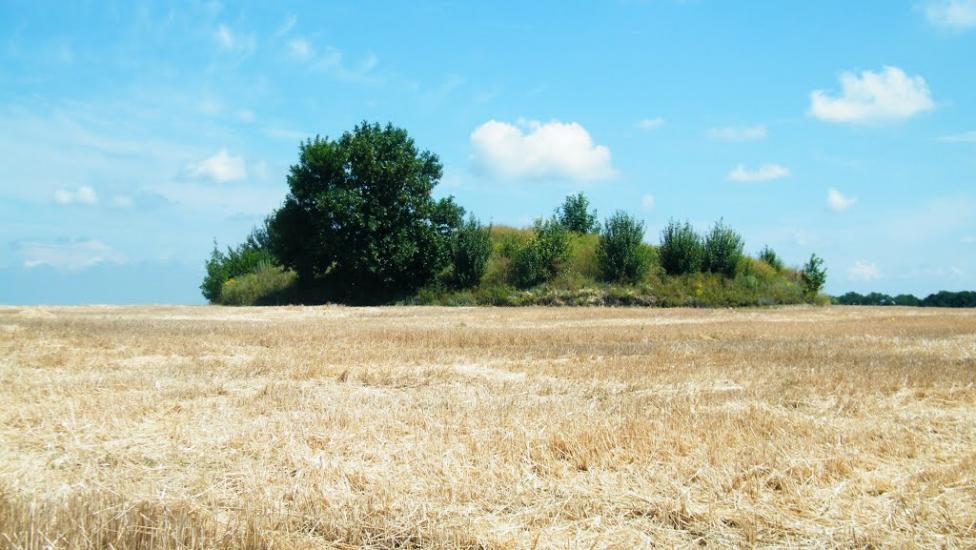 Верхня Жужманівка з panoramio.com - Верхня Жужманівка