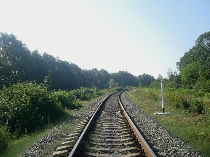 Панівці з panoramio.com - Панівці