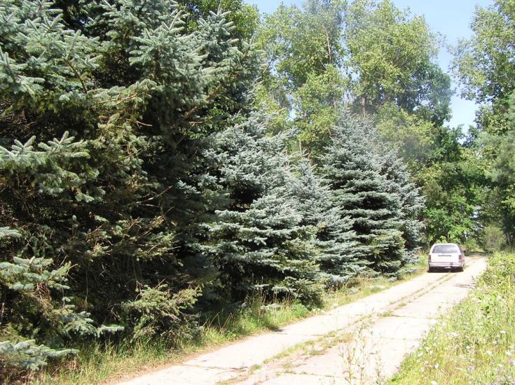 Горщик з panoramio.com - Горщик