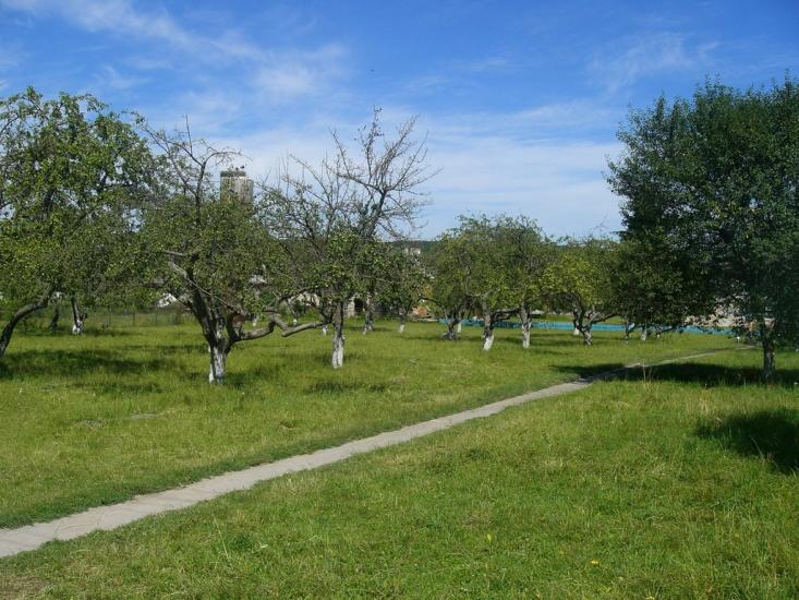 Біла з panoramio.com - Bila