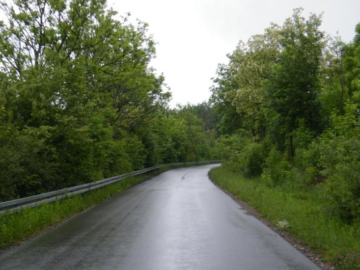 Трушевичі з panoramio.com - Трушевичи