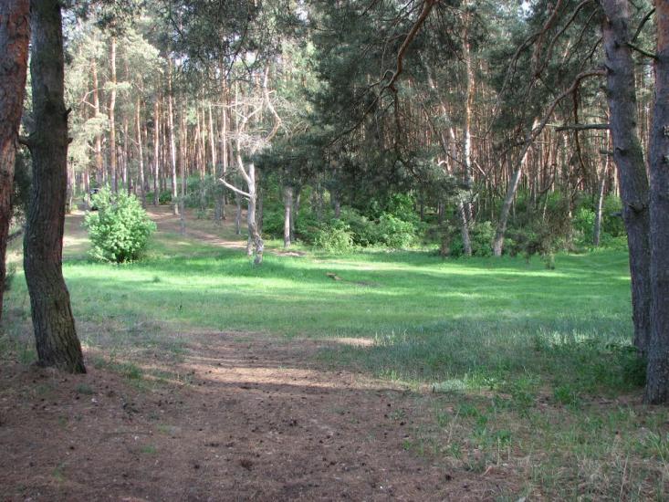 Гірки з panoramio.com - Горки