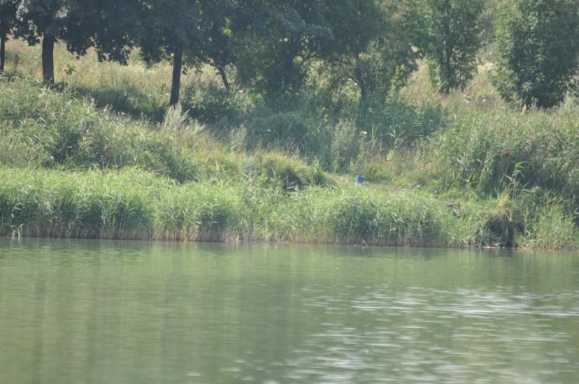 Черняки з panoramio.com - Черняки