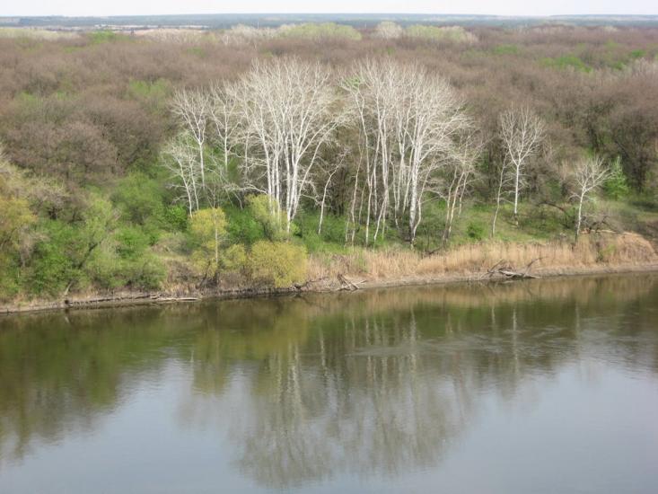 Великий Суходіл з panoramio.com - Великий Суходол