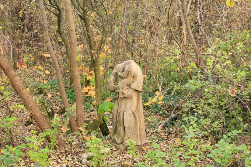 Тайкури з panoramio.com - Тайкури