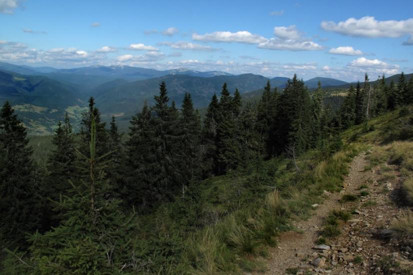 Заверхня Кичера з panoramio.com - Заверхняя Кичера