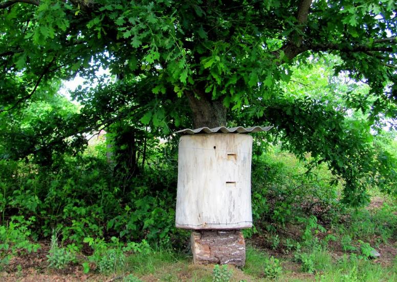 Карасин з panoramio.com - Карасин