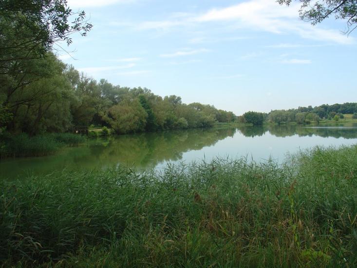 Студинка з panoramio.com - Студинка