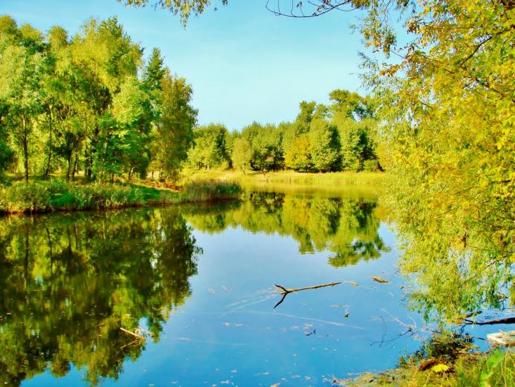 Димер з panoramio.com - Dymer