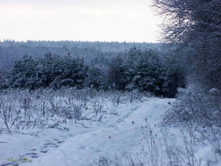 Руська Гута з panoramio.com - Руська Гута
