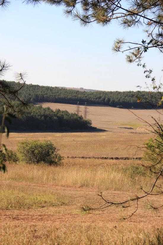 Денисівка з panoramio.com - Денисівка