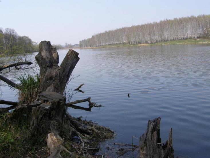 Люботин з panoramio.com - Люботин