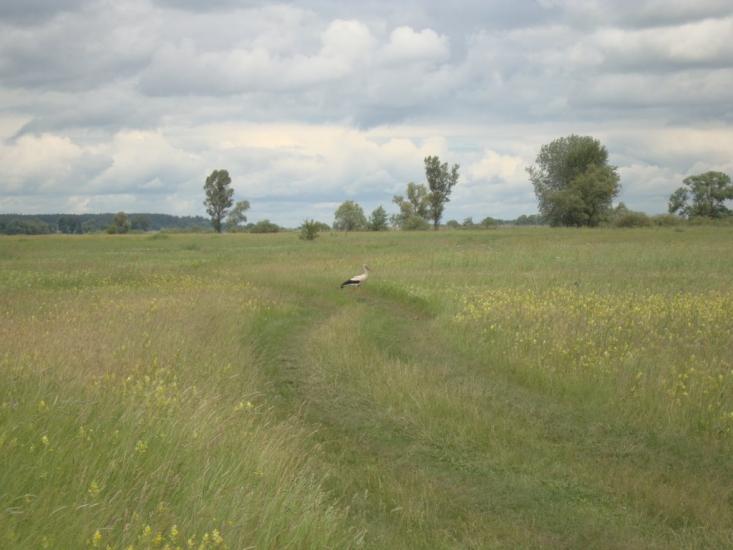 Сувид з panoramio.com - Сувид