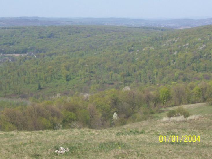 Могилівка з panoramio.com - Могилевка