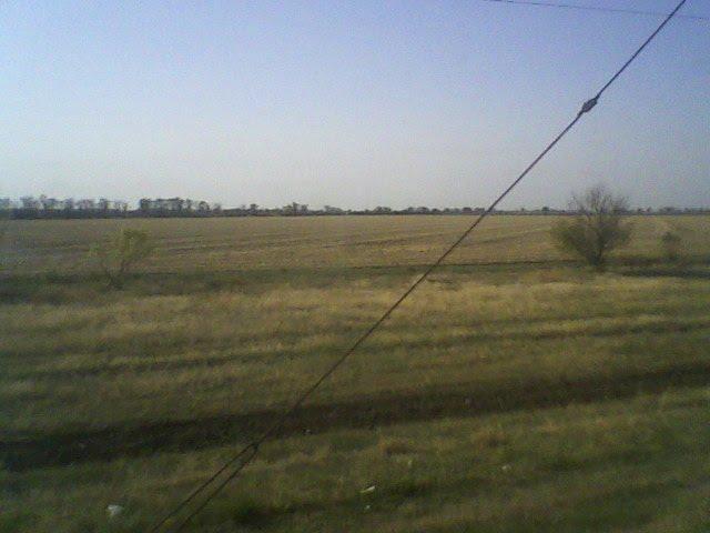 Новоолексіївка з panoramio.com - Новоолексіївка