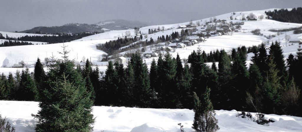 Лопушанка-Хомина з panoramio.com - Лопушанка-Хомина
