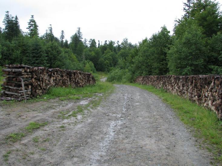 Сянки з panoramio.com - Сянки