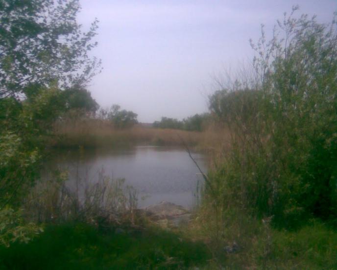 Синява з panoramio.com - Synyava