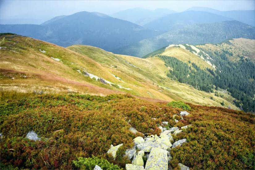 Заверхня Кичера з panoramio.com - Заверхня Кичера