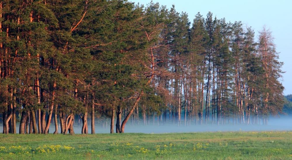 Вовчанськ з panoramio.com - Волчанск