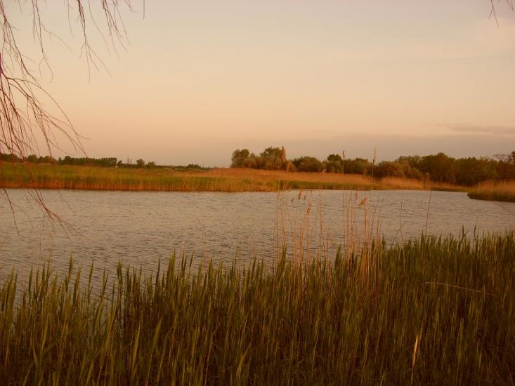 Червона Слобода з panoramio.com - Червона Слобода