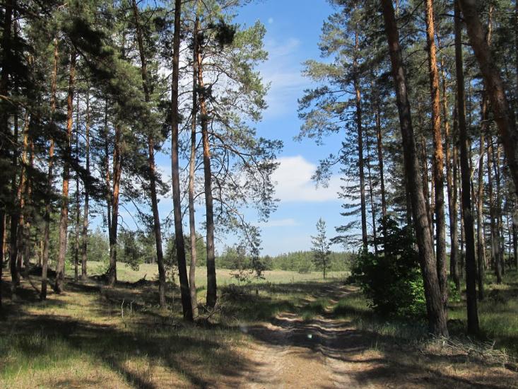 Левківка з panoramio.com - Левковка
