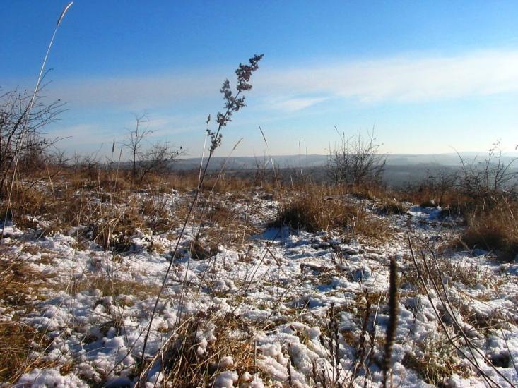 Лопушня з panoramio.com - Лопушня