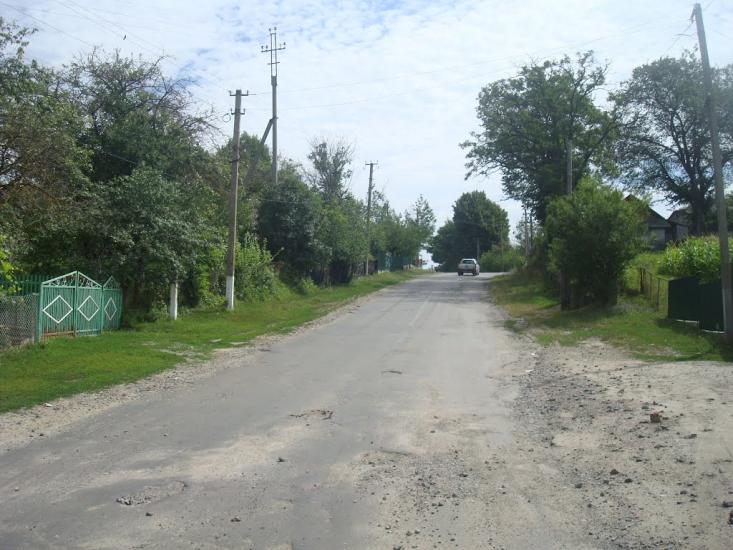 Ружичанка з panoramio.com - Ruzhychanka