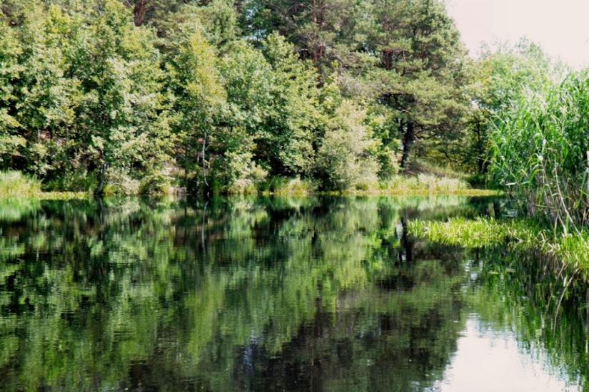 Бучин з panoramio.com - Бучин